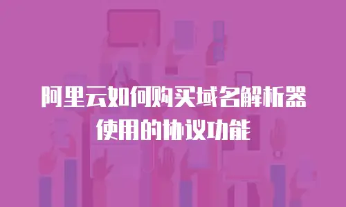 阿里云如何购买域名解析器使用的协议功能