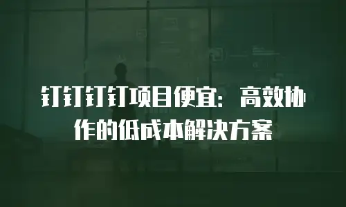 钉钉钉钉项目便宜：高效协作的低成本解决方案