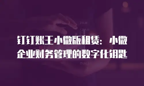 钉钉账王小微版租赁：小微企业财务管理的数字化钥匙