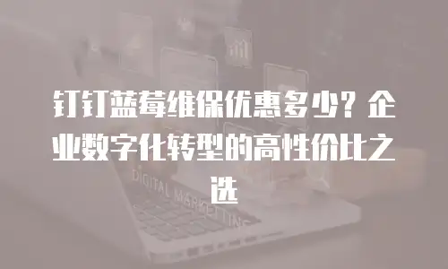 钉钉蓝莓维保优惠多少？企业数字化转型的高性价比之选