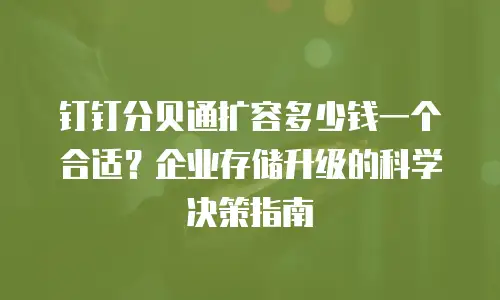 钉钉分贝通扩容多少钱一个合适？企业存储升级的科学决策指南