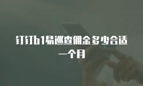 钉钉b1易巡查佣金多少合适一个月