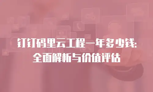 钉钉码里云工程一年多少钱：全面解析与价值评估