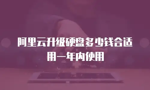 阿里云升级硬盘多少钱合适用一年内使用