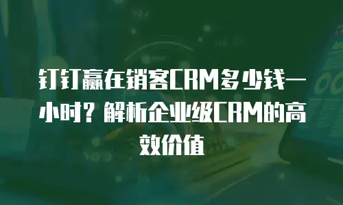 钉钉赢在销客CRM多少钱一小时？解析企业级CRM的高效价值