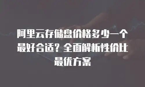 阿里云存储盘价格多少一个最好合适？全面解析性价比最优方案