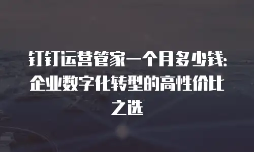 钉钉运营管家一个月多少钱：企业数字化转型的高性价比之选