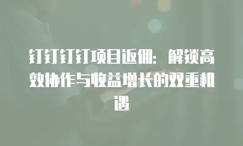 钉钉钉钉项目返佣：解锁高效协作与收益增长的双重机遇