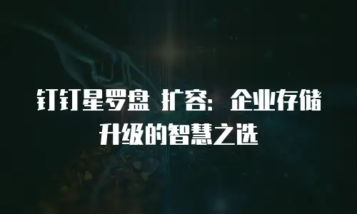 钉钉星罗盘 扩容：企业存储升级的智慧之选