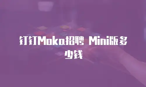 钉钉Moka招聘 Mini版多少钱