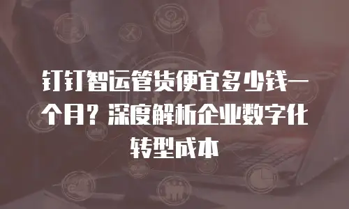 钉钉智运管货便宜多少钱一个月？深度解析企业数字化转型成本