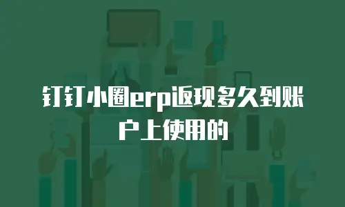 钉钉小圈erp返现多久到账户上使用的