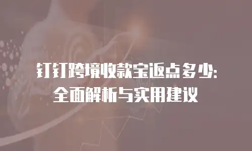 钉钉跨境收款宝返点多少：全面解析与实用建议