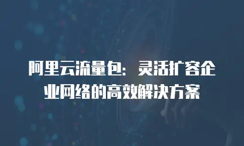 阿里云流量包：灵活扩容企业网络的高效解决方案