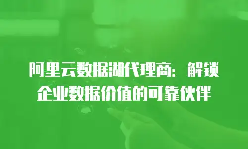 阿里云数据湖代理商：解锁企业数据价值的可靠伙伴