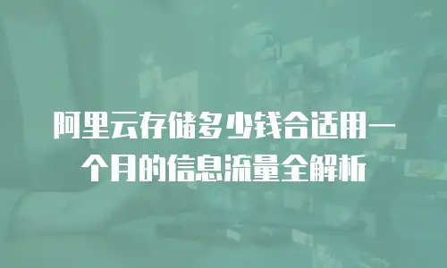 阿里云存储多少钱合适用一个月的信息流量全解析