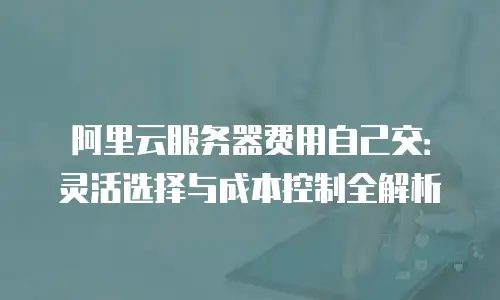 阿里云服务器费用自己交：灵活选择与成本控制全解析