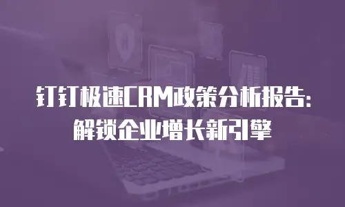 钉钉极速CRM政策分析报告：解锁企业增长新引擎
