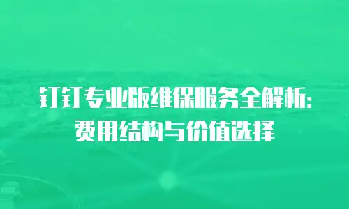 钉钉专业版维保服务全解析：费用结构与价值选择