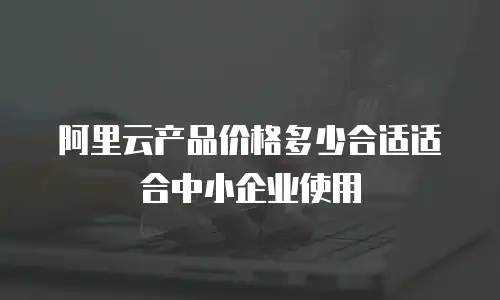 阿里云产品价格多少合适适合中小企业使用
