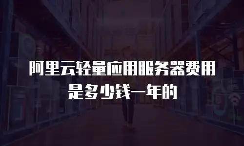 阿里云轻量应用服务器费用是多少钱一年的