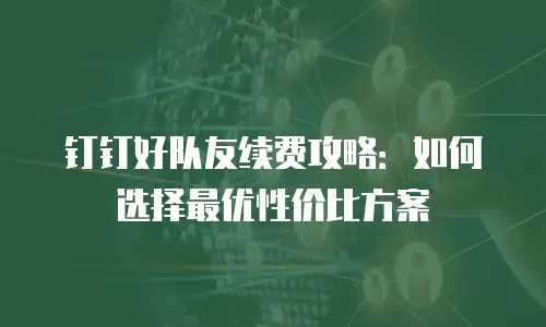 钉钉好队友续费攻略：如何选择最优性价比方案