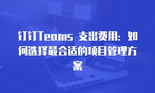 钉钉Teams 支出费用：如何选择最合适的项目管理方案