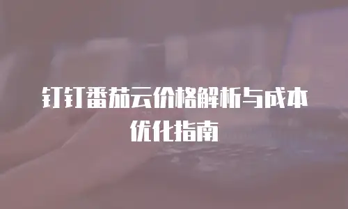 钉钉番茄云价格解析与成本优化指南