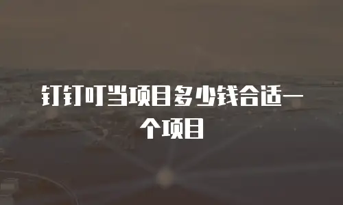 钉钉叮当项目多少钱合适一个项目