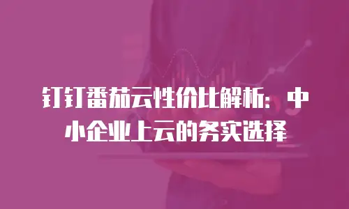 钉钉番茄云性价比解析：中小企业上云的务实选择