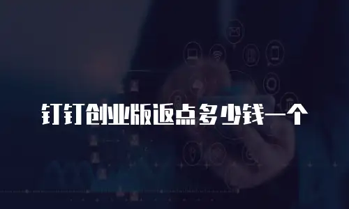 钉钉创业版返点多少钱一个