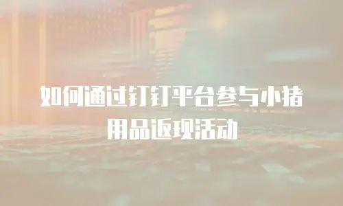 如何通过钉钉平台参与小猪用品返现活动