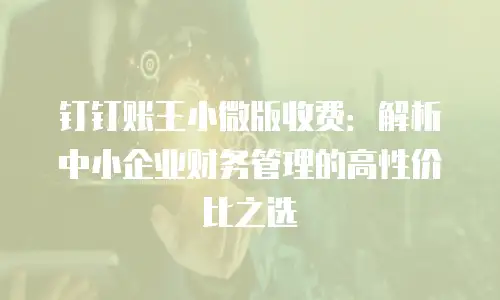 钉钉账王小微版收费：解析中小企业财务管理的高性价比之选