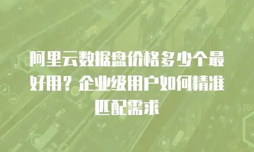阿里云数据盘价格多少个最好用？企业级用户如何精准匹配需求