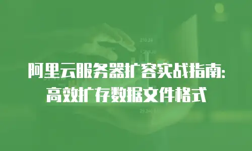 阿里云服务器扩容实战指南：高效扩存数据文件格式