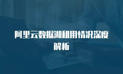 阿里云数据湖租用情况深度解析