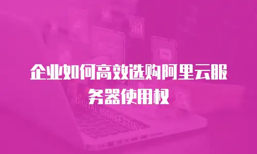 企业如何高效选购阿里云服务器使用权