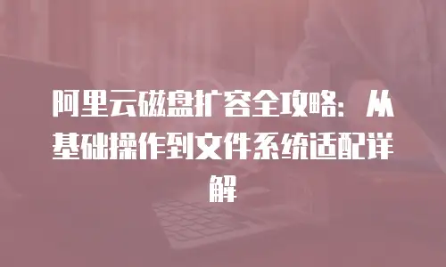 阿里云磁盘扩容全攻略：从基础操作到文件系统适配详解