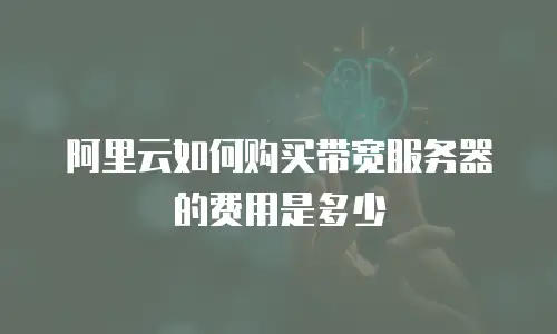 阿里云如何购买带宽服务器的费用是多少