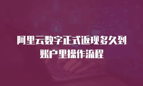 阿里云数字正式返现多久到账户里操作流程