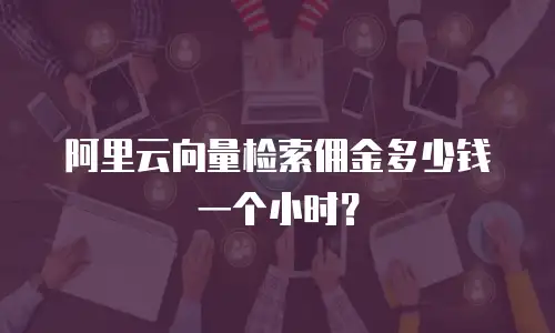 阿里云向量检索佣金多少钱一个小时？