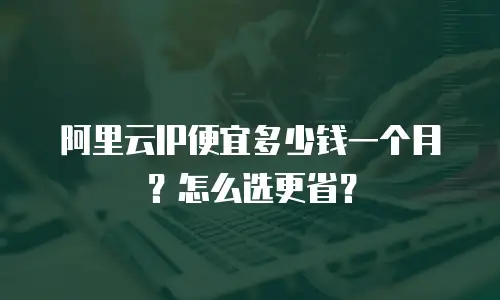 阿里云IP便宜多少钱一个月？怎么选更省？