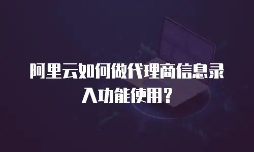阿里云如何做代理商信息录入功能使用？