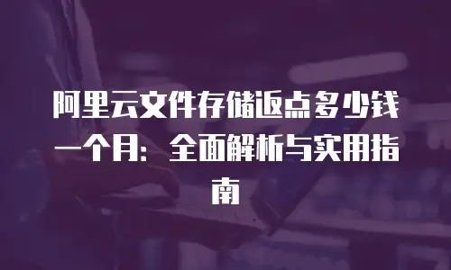 阿里云文件存储返点多少钱一个月：全面解析与实用指南