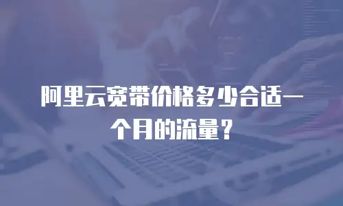 阿里云宽带价格多少合适一个月的流量？