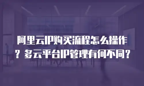 阿里云IP购买流程怎么操作？多云平台IP管理有何不同？