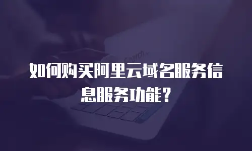 如何购买阿里云域名服务信息服务功能？