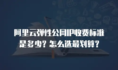 阿里云弹性公网IP收费标准是多少？怎么选最划算？