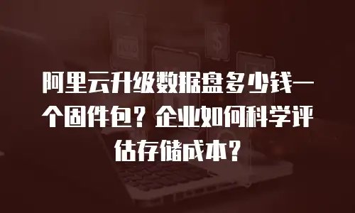 阿里云升级数据盘多少钱一个固件包？企业如何科学评估存储成本？
