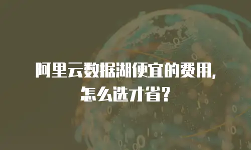 阿里云数据湖便宜的费用，怎么选才省？